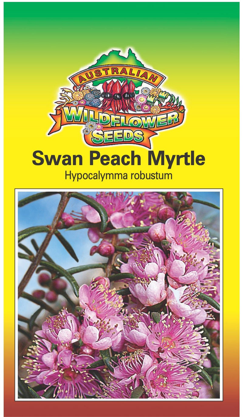 Seeds Hypocalymma robustum - Swan Peach Myrtle