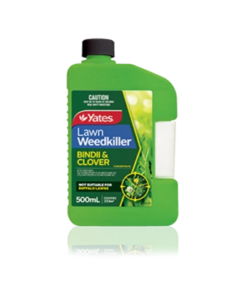 Bindii And Clover Weedkiller